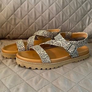 Super cute leopard print sandals!